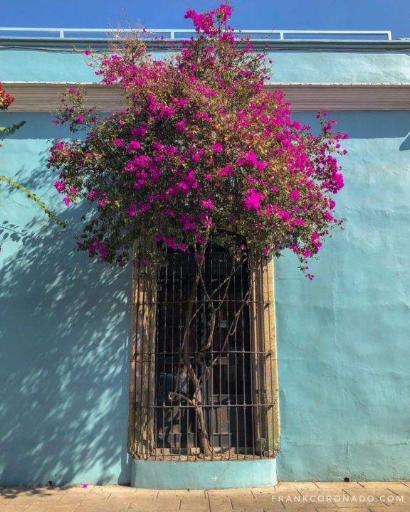 arquitectura centro de oaxaca