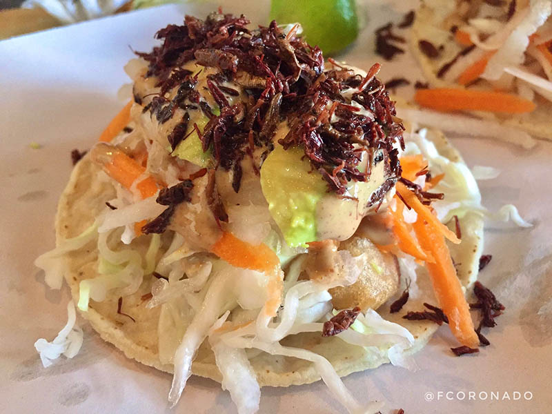 que comer en la ciudad de Oaxaca