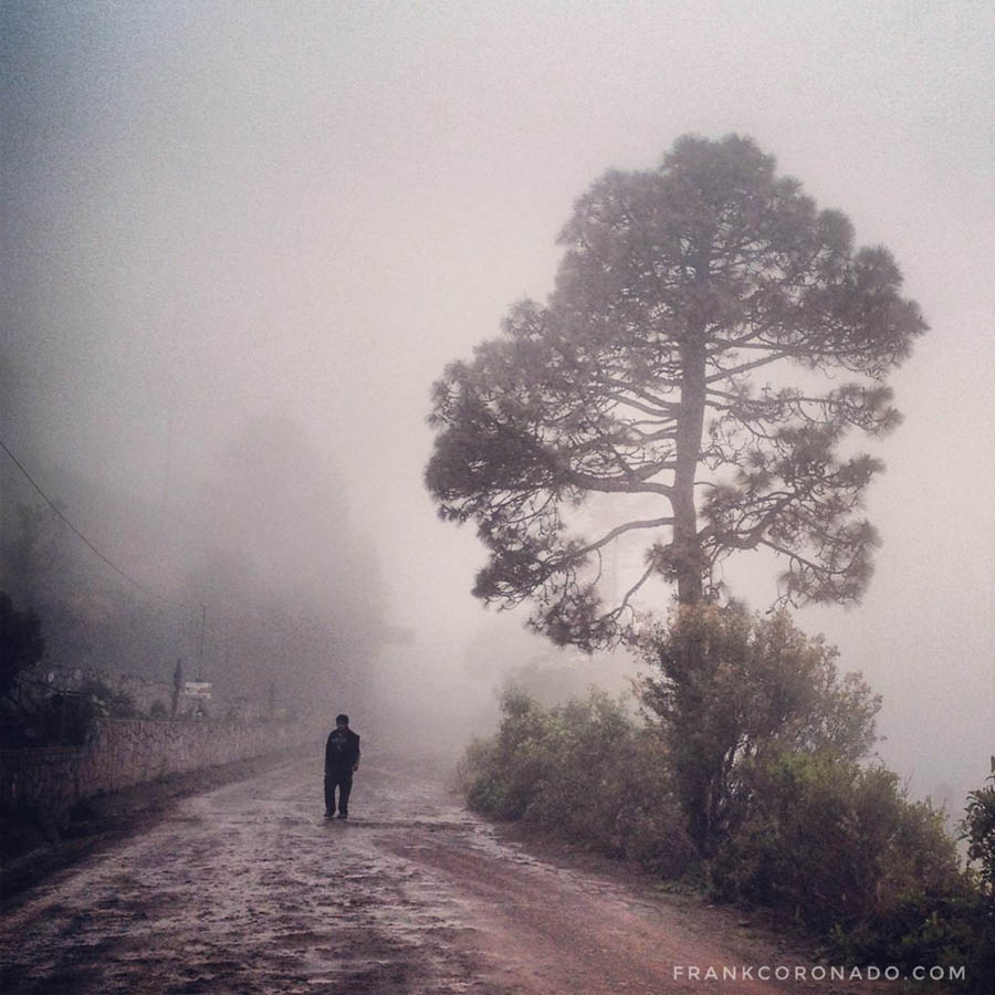 Camino rural con neblina