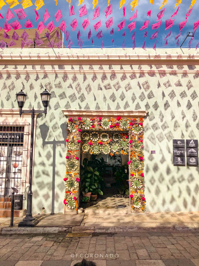 fachadas de oaxaca en dia de muertos