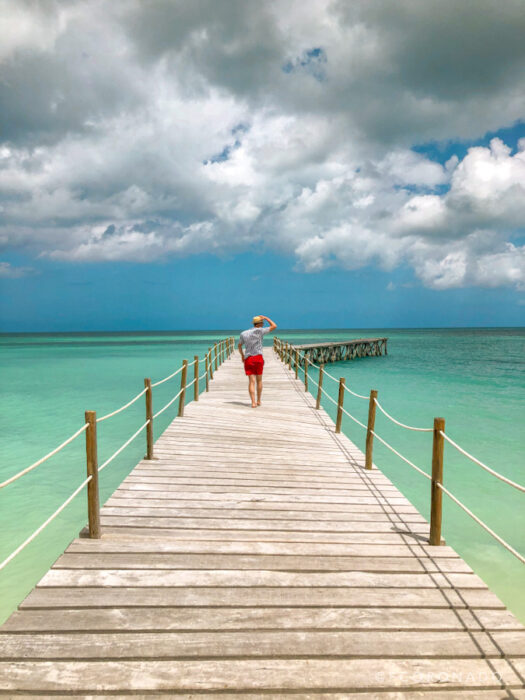 que hacer en cozumel