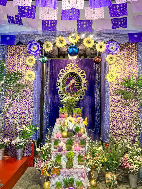 altar de dolores en la ciudad de Oaxaca