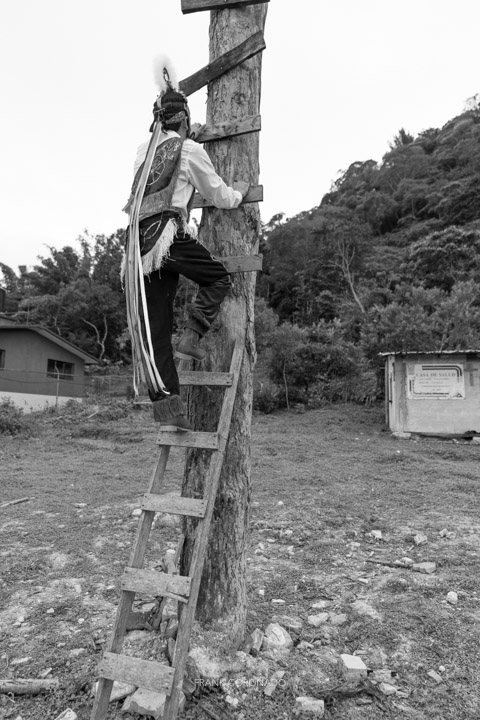 palo danza voladores