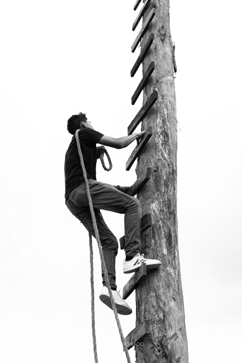 vistiendo el palo de la danza de los voladores