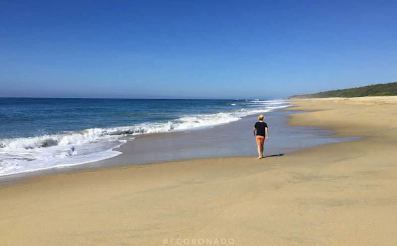 guia de puerto escondido