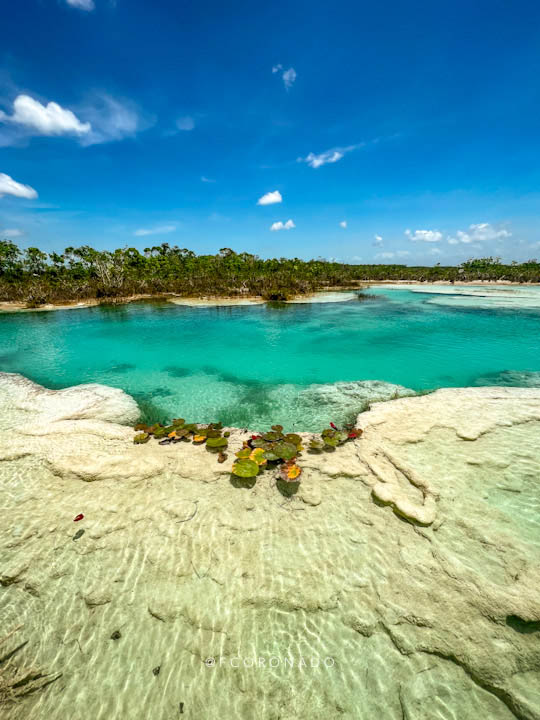 estromatolitos de bacalar