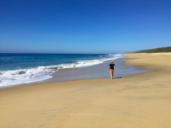 Cómo llegar y qué hacer en Puerto Escondido