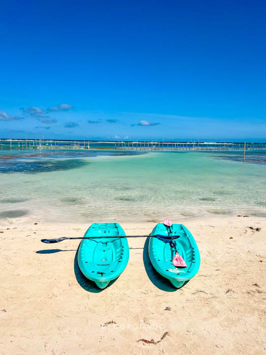 kayaks en mahahual