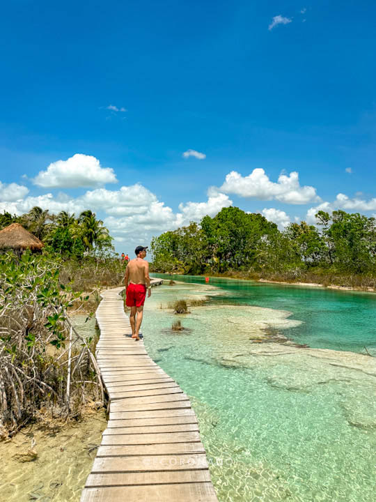 estromatolitos en rapidos bacalar