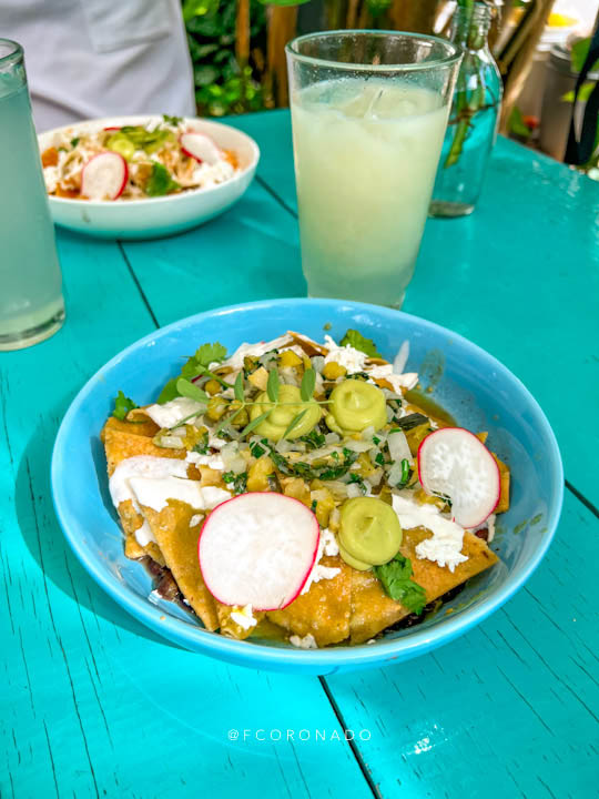 chilaquiles verdes con chaya y calabaza