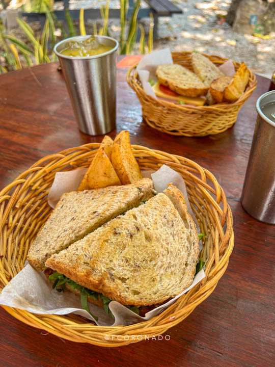 sandwiches en el restaurante enamora de bacalar