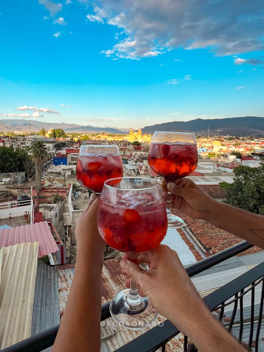 gin tonic de frutos rojos