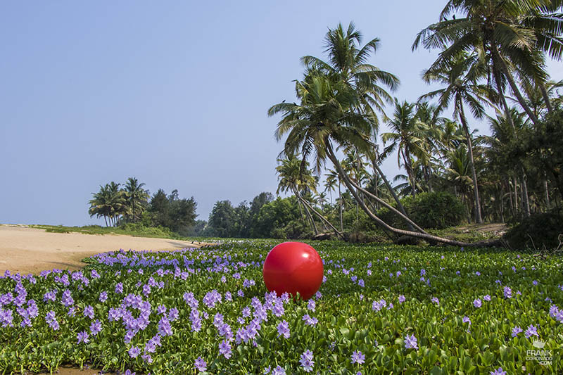 paisajes de kerala india