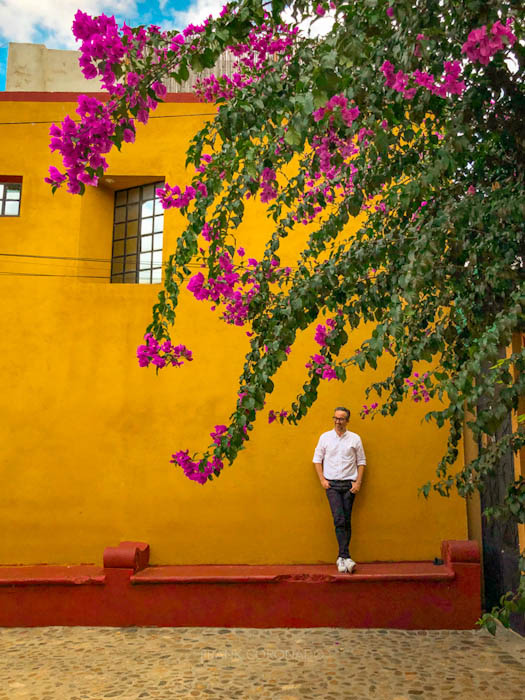 muro amarillo en el barrio de xochimilco