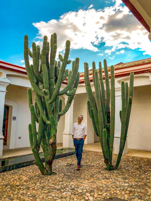 patio del museo de filatelia