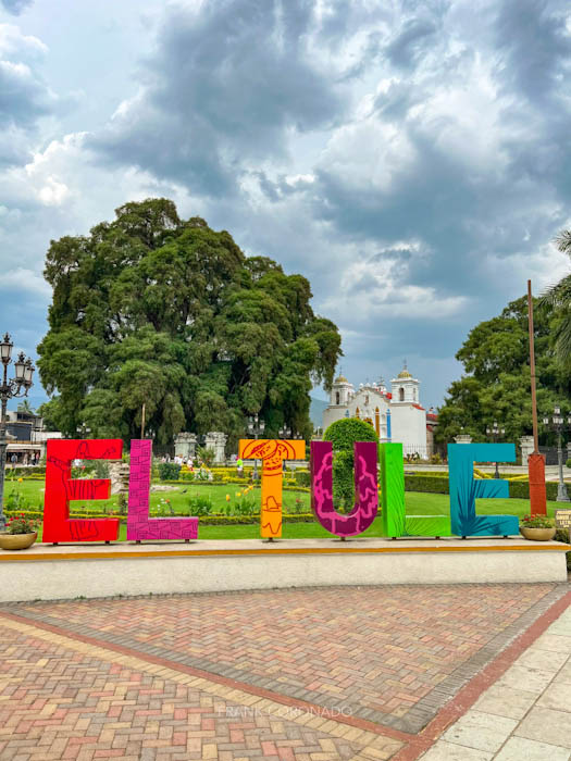 vista del arbol del tule y el templo