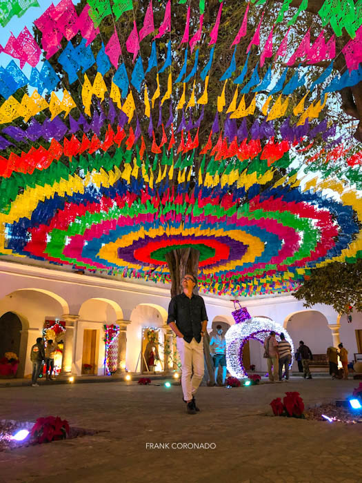 Museo frissell de mitla oaxaca y su arbol decorado