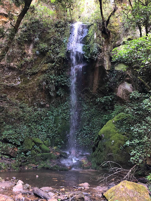 cascada de ixtepeji