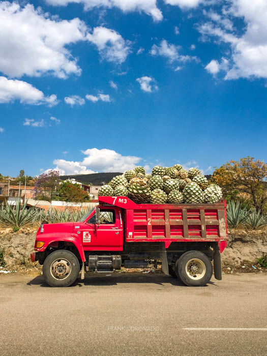 camion de volteo con piñas en santiago matatlan