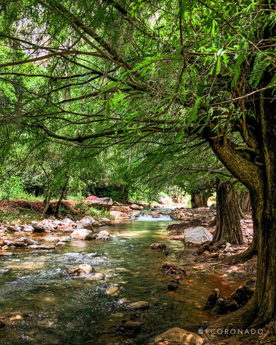 rio en santiago apoala