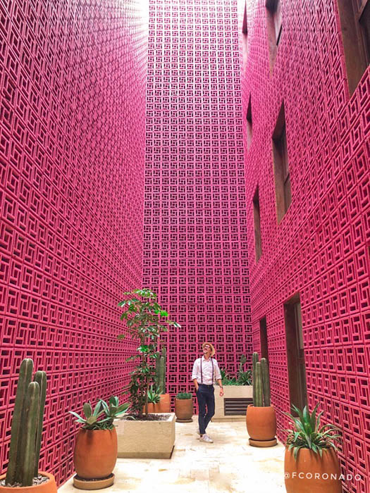 hotel rosa de oaxaca