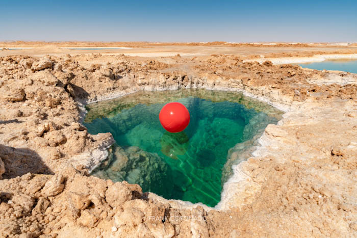 Oasis de siwa