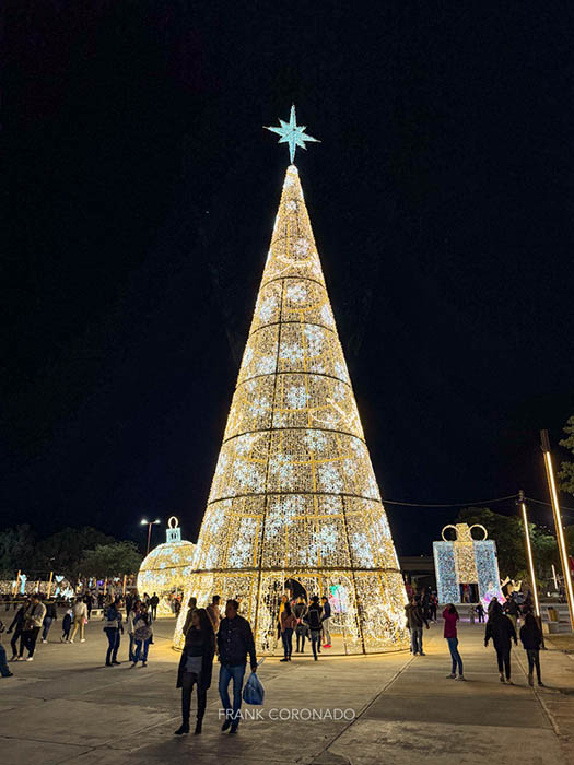 arbol de navidad gigante iluminado en oaxaca