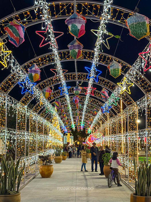 tunel de luces en parque primavera oaxaqueña en oaxaca