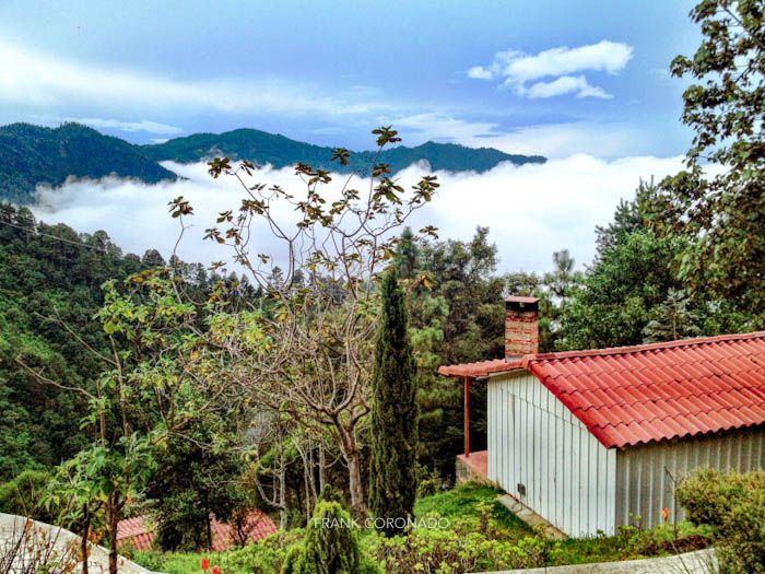 paseo por San Jose del Pacifico Oaxaca