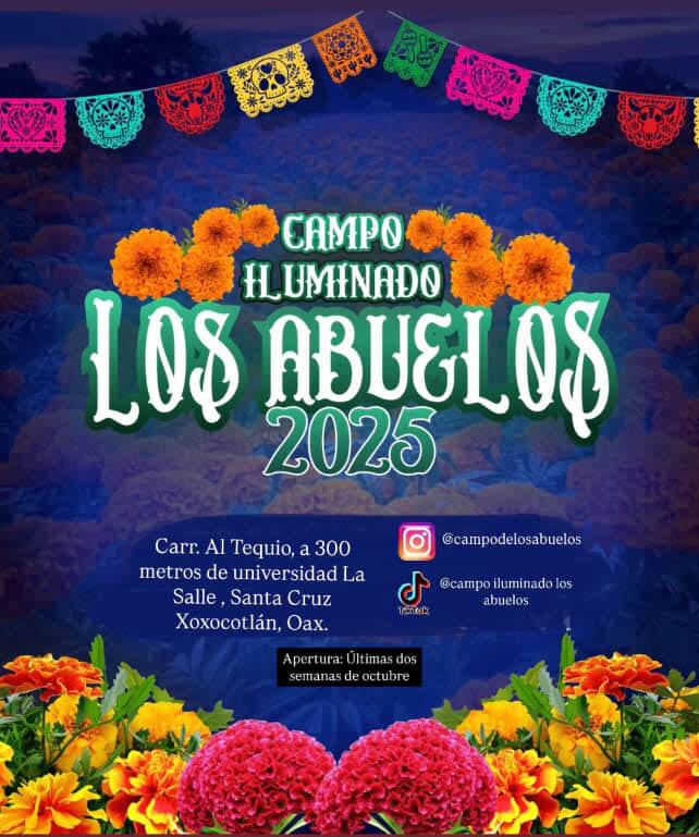 Campo iluminado de cempasuchil