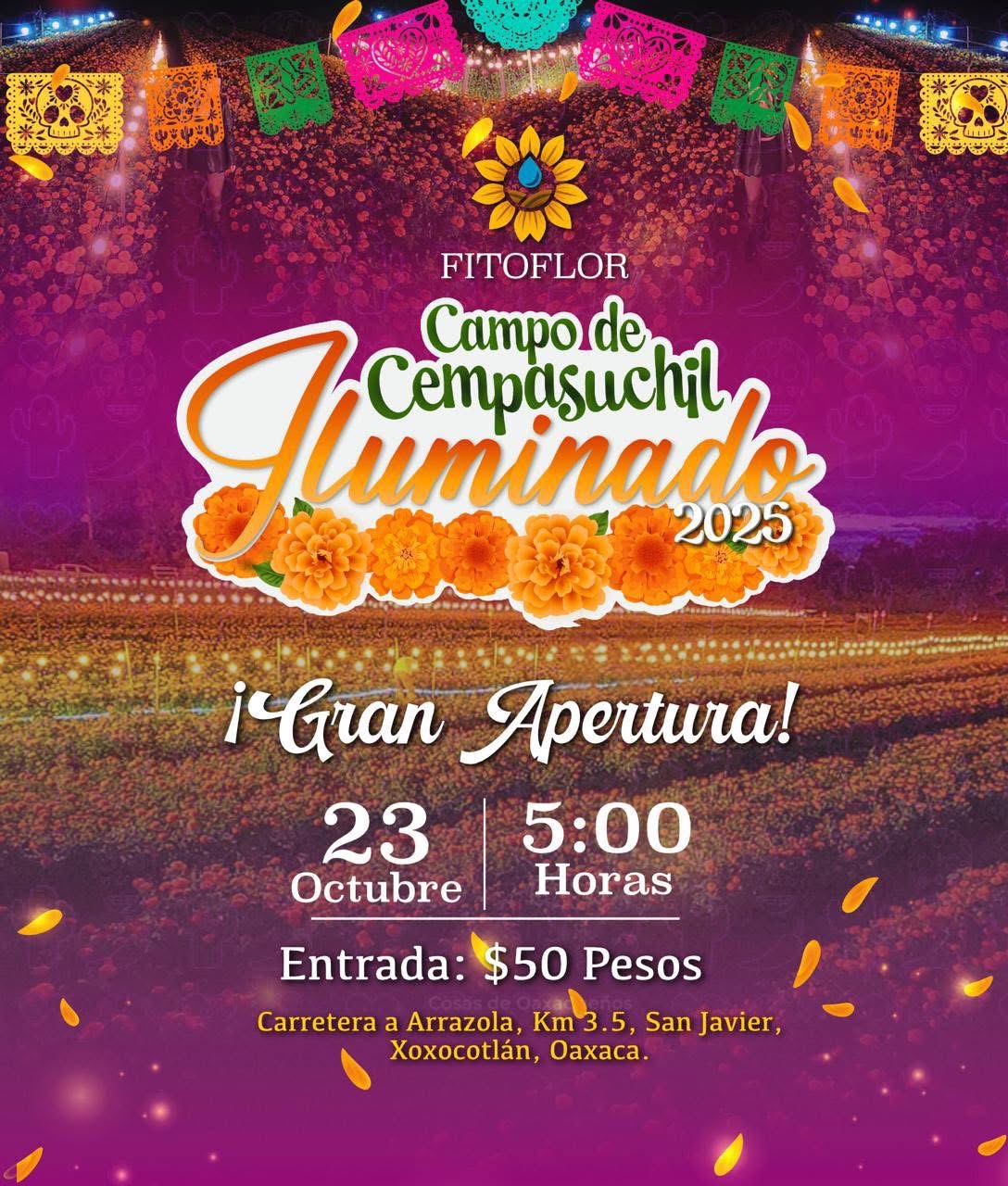 campo de cempasuchil en Oaxaca
