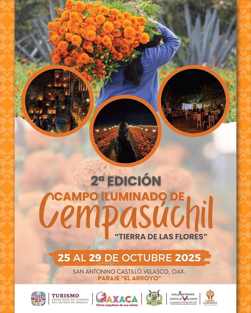 Campo iluminado de cempasuchil