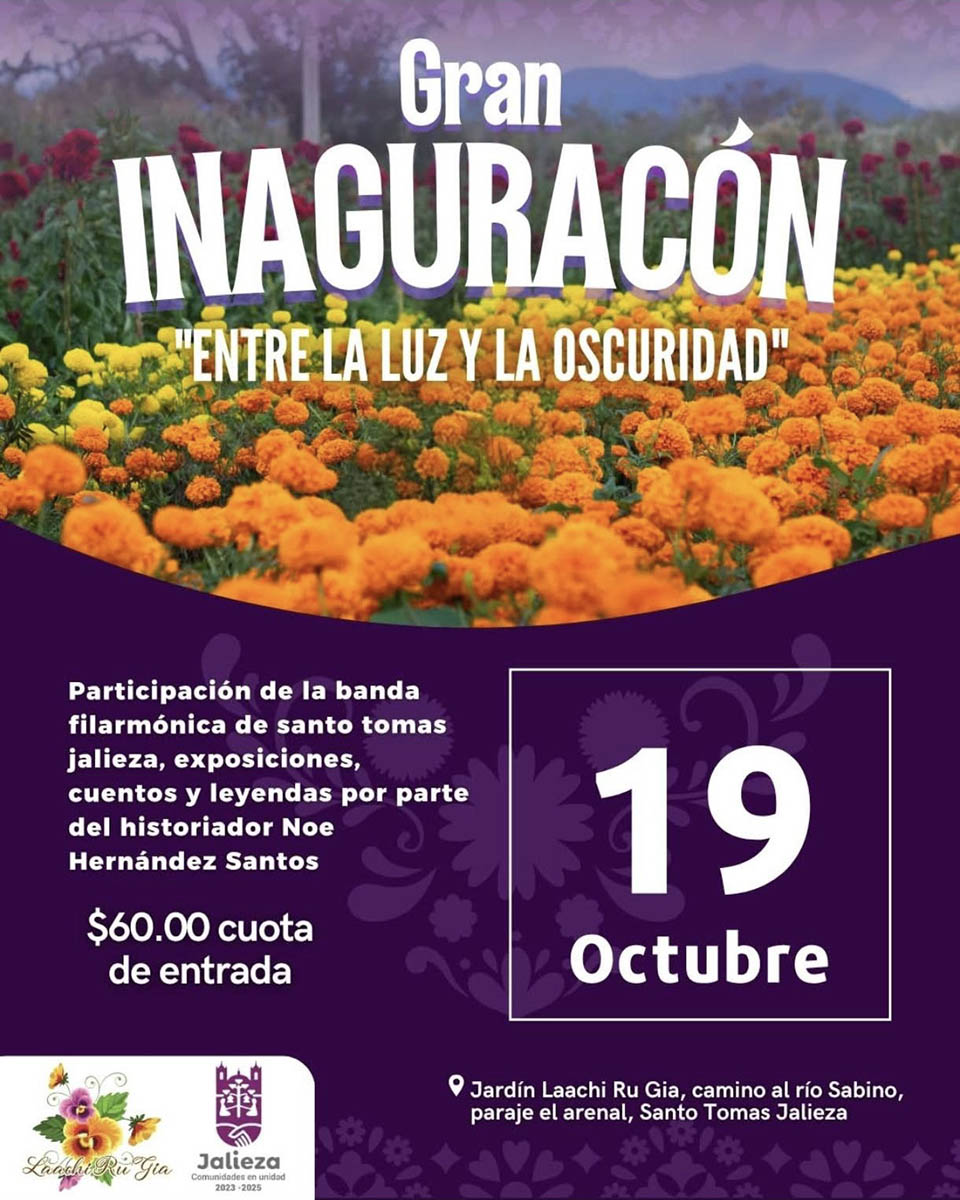 campos de cempasuchil en Oaxaca