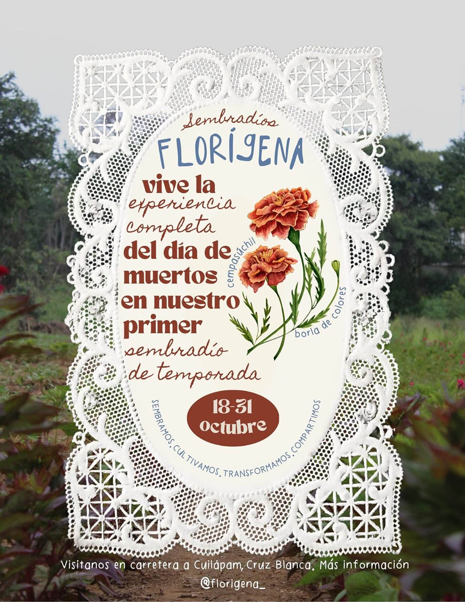 Campo de cempasuchil en Oaxaca