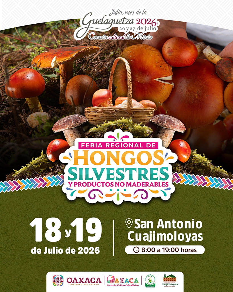 Feria regional del hongo 2026