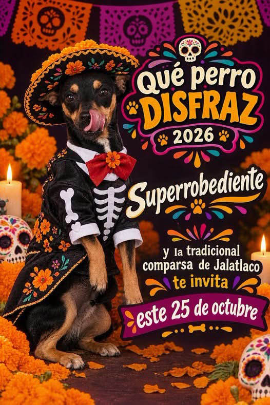 Concurso de disfraces perros dia de muertos